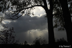 November-Eifel 9