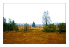 Hohes Venn 1
