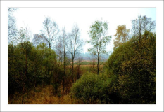 Hohes Venn 5