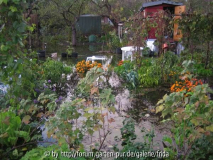 gemuesegarten-wasser.jpg