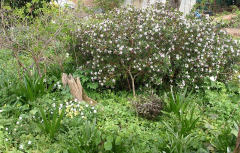 Frühling2017