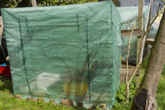 Anzuchthaus Tomaten und Gurken