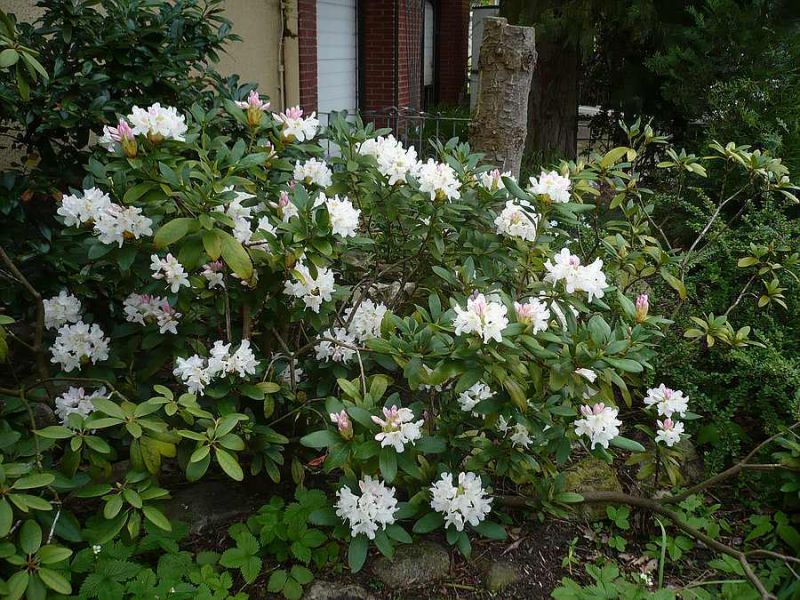 7. Mai 2017