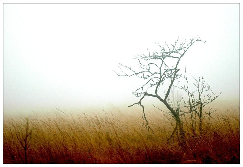 Hohes Venn November 3