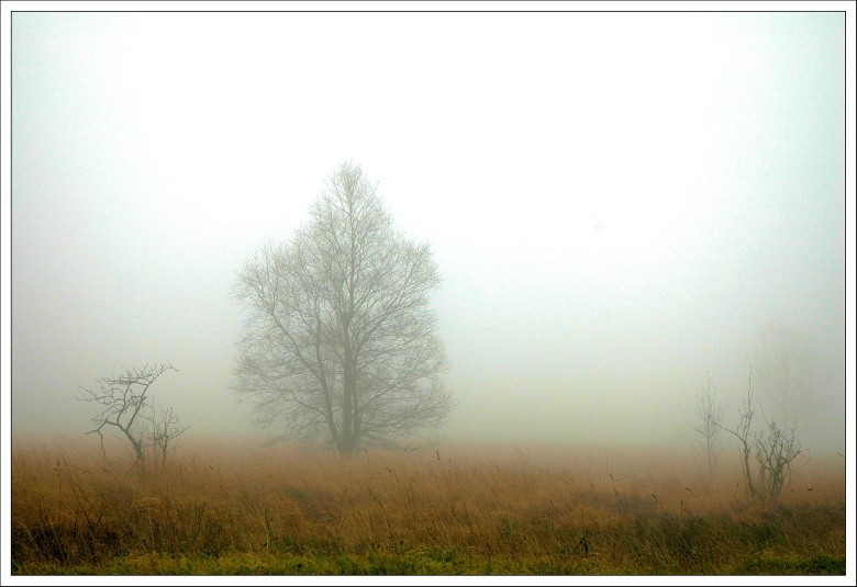 Hohes Venn November 4
