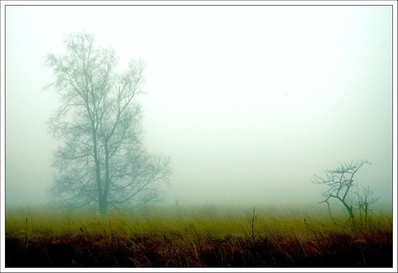 Hohes Venn November 5