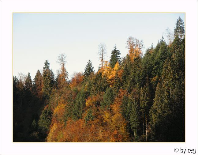 November Bilder