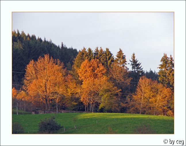 November Bilder