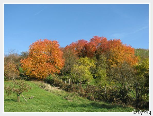 November-Bilder