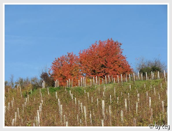 November-Bilder