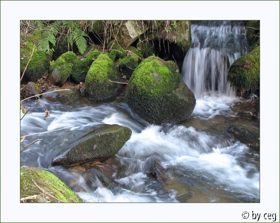 Wasserstudie Herbst