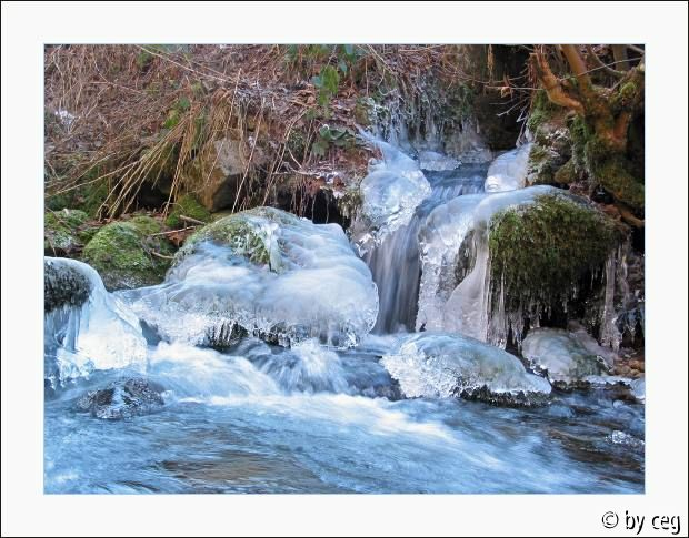 Wasserstudie Winter