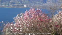 Postkartenidylle am Lago Maggiore