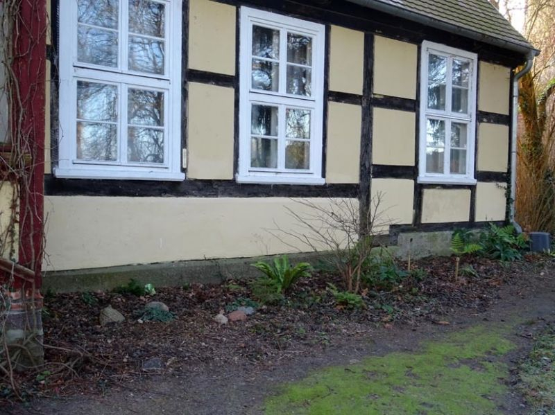 Schattenbeet am Haus