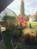 Herbstimpressionen