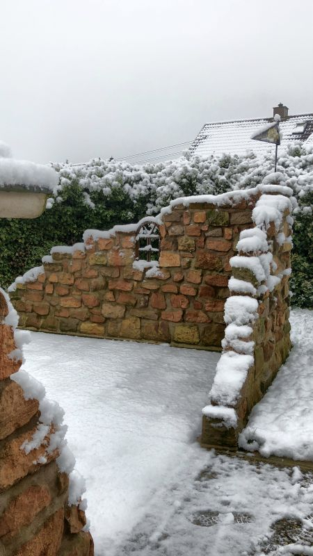 Winter an der Burgruine 1