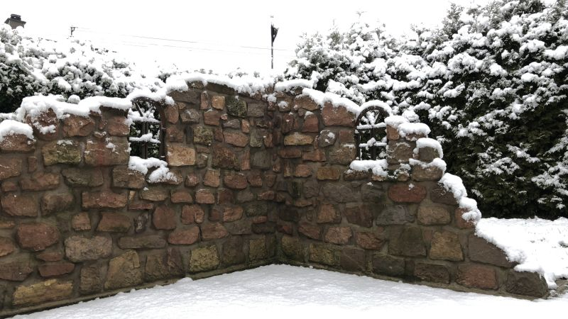 Winter an der Burgruine 2