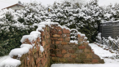 Winter an der Burgruine 3