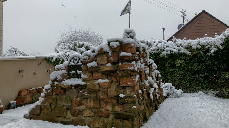 Winter an der Burgruine 4