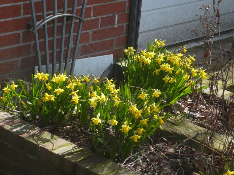 Frohe Ostern