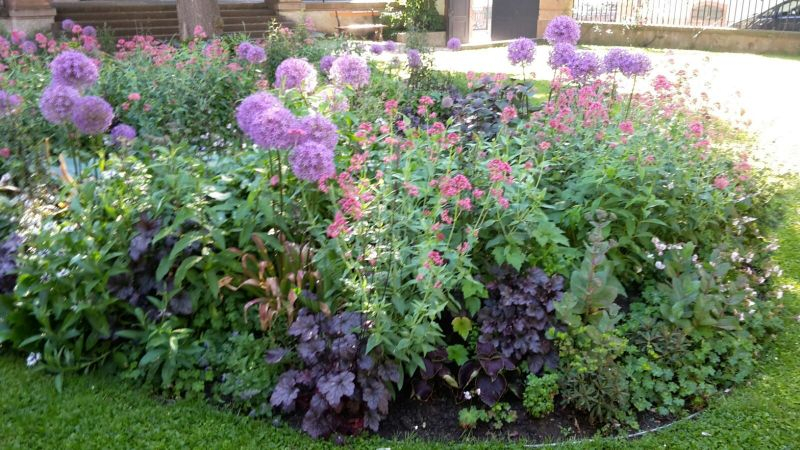 Stadtgarten Beete Fruehsommer