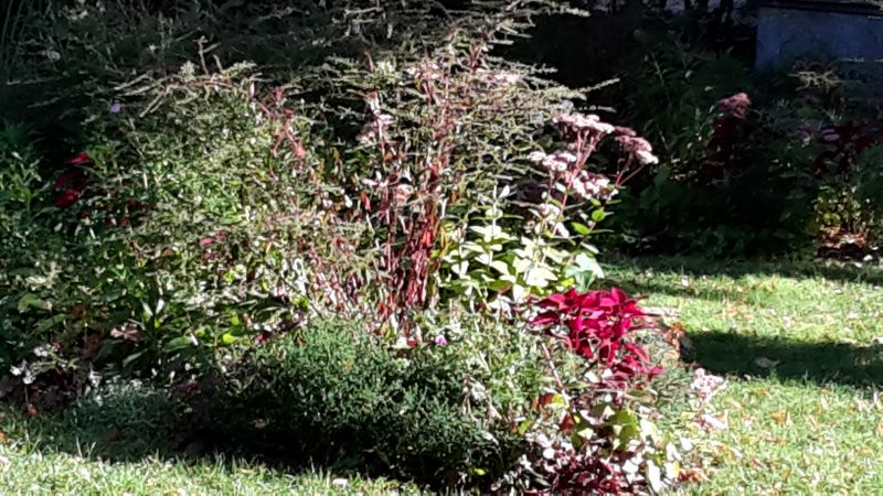 Stadtgarten Beete 3