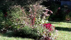 Stadtgarten Beete 3