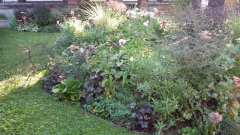 Stadtgarten Beete 4