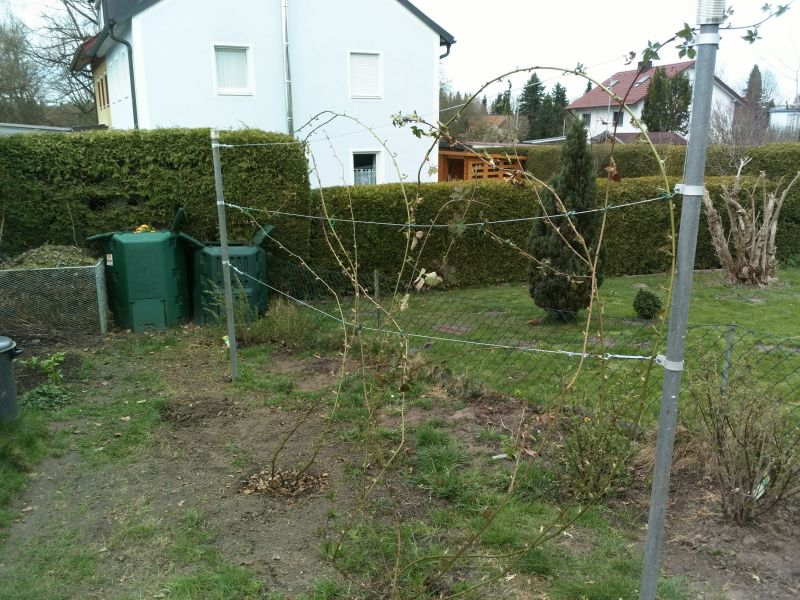 Spalier 1