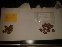 Vergleich Purpiat/Shirolustrucz Kovina