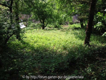 Unsere Wildnis Früjahr 2006 - unten 01