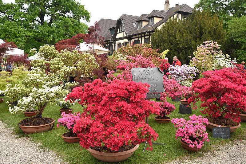 03 Schoppenwihr 4/18