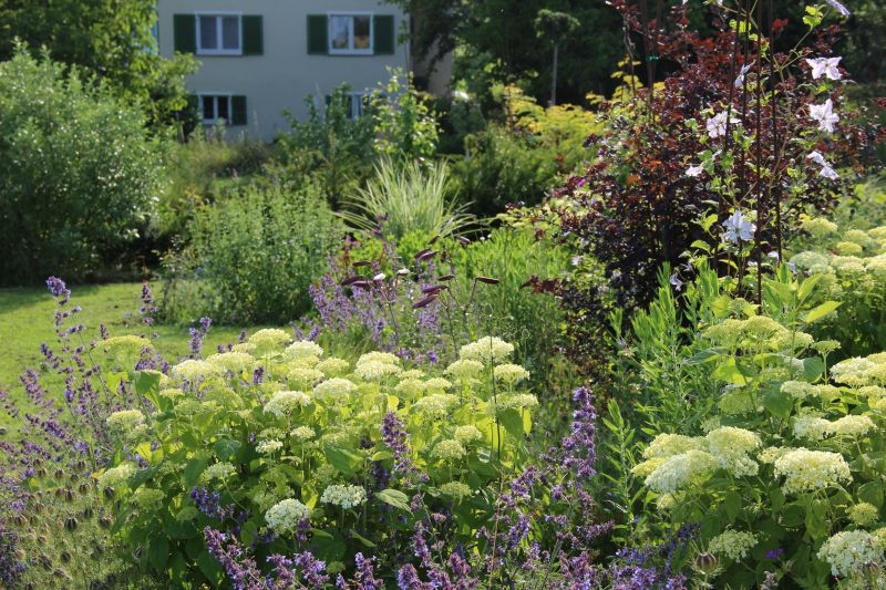 Hochsommer im Mittelgarten
