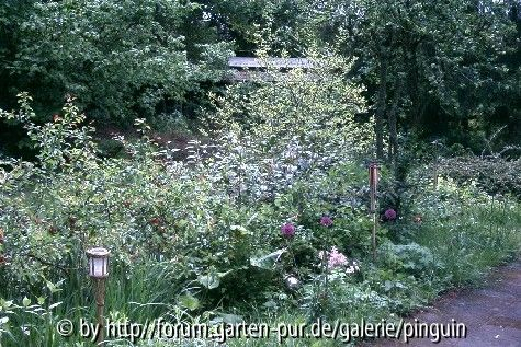 Beet an der Terrasse