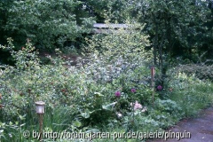 Beet an der Terrasse