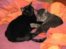 Yin&Yang