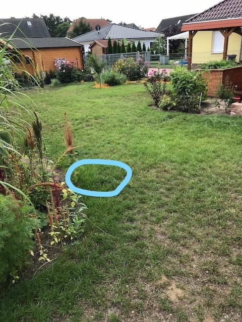 Rasenfläche