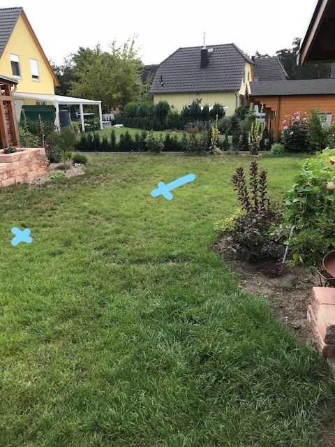 Rasenfläche 3