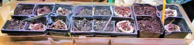3-Tage-SmartGarden