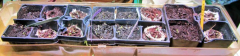 3-Tage-SmartGarden