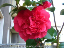 CIMG0673_600x600_100KB.jpg