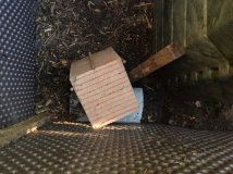 Austritt beim Holz