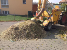 Häcksel