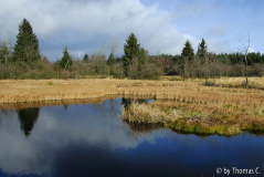 Hohes Venn 01