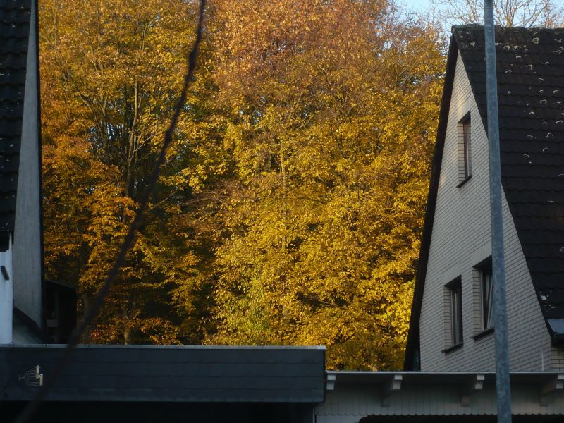 Das Hölzchen hat sich eingefärbt, Blickm aus dem Küchenfenster