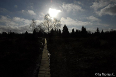 Hohes Venn 11