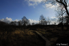 Hohes Venn 12
