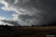 Hohes Venn 16