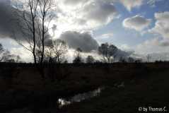 Hohes Venn 17