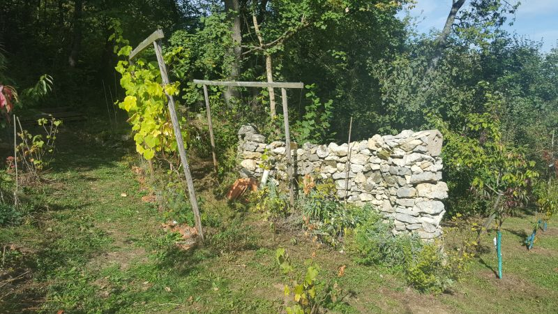 Weinmauer Südseite